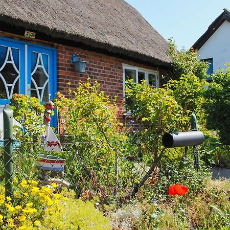 Moderne Ferienwohnung Mit Gartennutzung - Haus Inselwind Fewo Meerbucht Groß Zicker エクステリア 写真